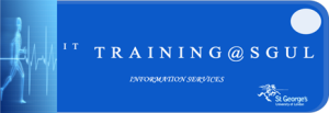 Logo for IT training at SGUL