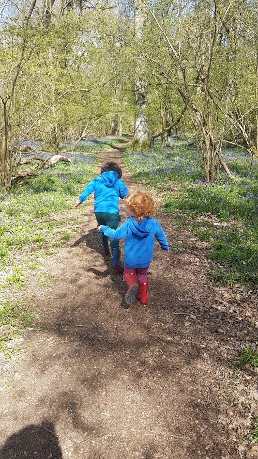 Two children with their backs turned away from the camera, running along a forest path with bluebells on either side.